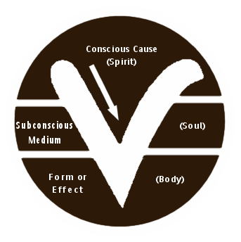 Circle and V Symbol Circle and V Symbol